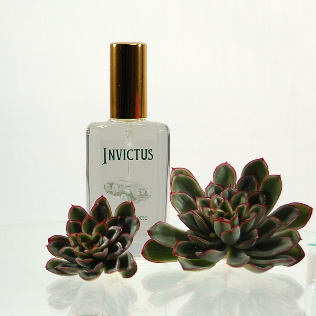Invictus Inspired Eau de Toilette 50ml