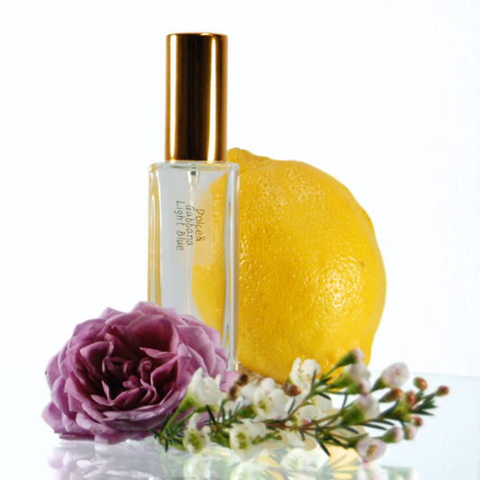 No. 10 Dolce & Gabbana Light Blue Inspired Fragrance 30ml